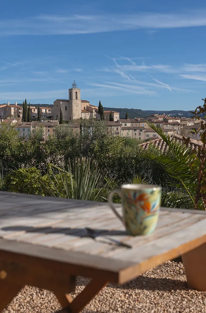 Restaurants and brasseries in the village of Flayosc